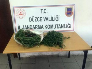 Düzce’de 2 kilo 750 gram esrar ele geçirildi