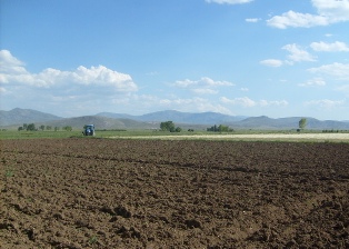 Altınekin'de nadas sürümüne başlanıldı