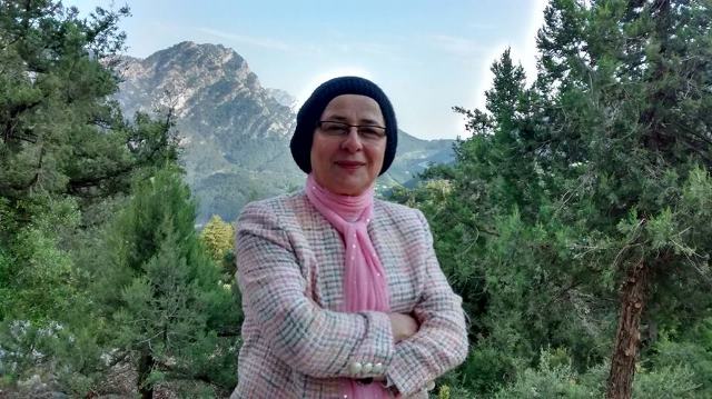 “Lâle Devri’nden Bir Âlim /HADİMİ” Romanı çıktı