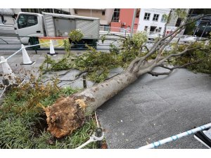 Japonya’daki tayfunda 1 kişi öldü