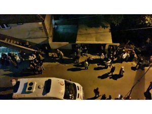 Ağaçtan düşen yaşlı kadın hayatını kaybetti