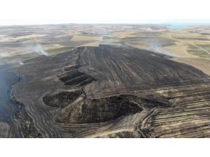 Anız yangını bahçelere sıçradı