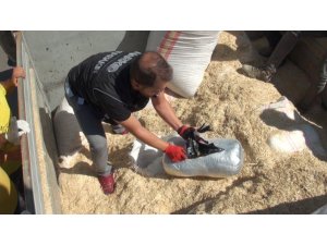 Saman yüklü kamyondan 663 kilogram esrar çıktı