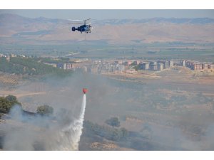 Hatay’da çıkan yangında 50 hektarlık alan kül oldu