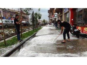 15 dakika devam eden dolu Erciş’i bu hale getirdi