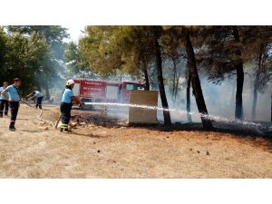 Elektrik tellerine çarpan kuşlar yangına neden oldu