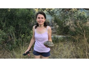 Mersinli Fulya Yetiş, önce itfaiyeyi seferber etti sonra da kaplumbağanın imdadına yetişti