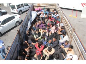 Kamyon kasasından koyun yerine 61 kaçak göçmen çıktı