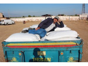 TMO kuru üzüm alımlarına başladı