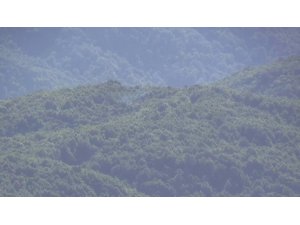 Şenyayla bölgesinde terör operasyonu