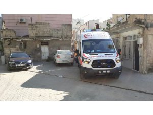 İncir ağacından düşen kadın yaralandı