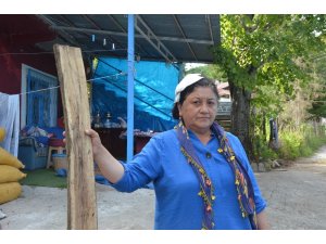 Kafasına kalasla vurulan kadın: “Pusu kurularak, öldürmek için vurdular”