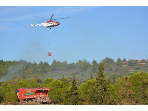 Ayvalık’ta orman yangını