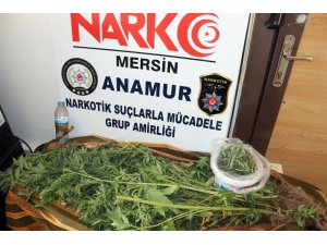 Evinde esrarla yakalandı