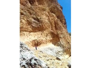 Kayalıklarda mahsur kalan keçileri AFAD kurtardı