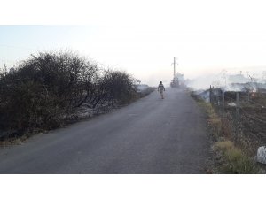 Sigara izmariti otluk alanı yaktı