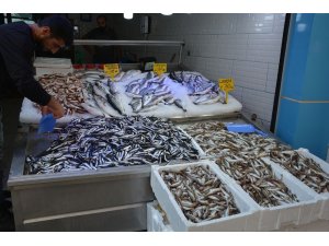 Balıkçı esnafı satışlardan memnun değil