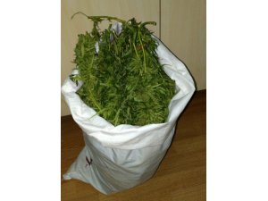 Elazığ’da 4 kilo esrar ele geçirildi, 1 şüpheli yakalandı