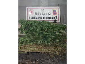 Fotokapanla zehir tacirlerini yakaladılar