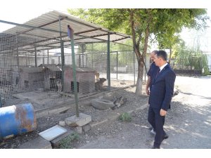 Gölbaşı'ndaki hayvan barınağı taşınsın talebi