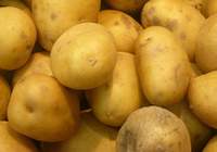 Yediğiniz patatese dikkat edin !