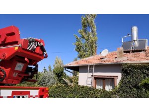 Ağaç budarken kafası ipe dolanan şahıs hayatını kaybetti