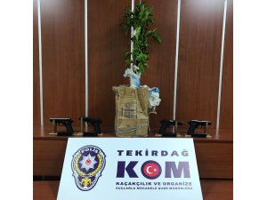 Kaçak silahları fidanın kök kısmına gizlemiş