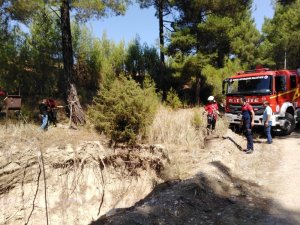 15 metrelik obruğa düşen kediyi itfaiye kurtardı