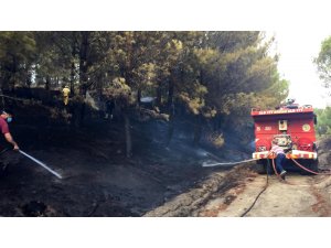 Balıkesir'de çıkan orman yangını söndürüldü