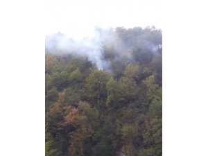 Sinop’taki orman yangını kontrol altına alındı