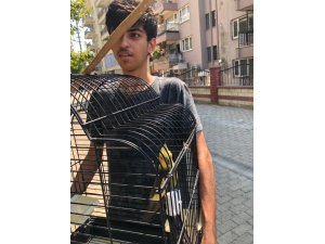 Aydın itfaiyesinden papağan operasyonu