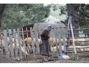 Yörüklerin gelir kapısı Akdağ