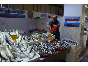 Yıllar sonra ilk kez erken çıkan yerli hamsi balıkçıları endişelendirdi