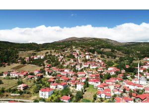 Karadeniz'in doğasını ve mimarisini koruyan mahalle: Yeşilce