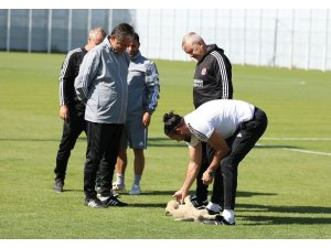 Sivasspor idmanına davetsiz misafir