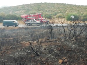 Yıldırım Çeşme’de yangına yol açtı