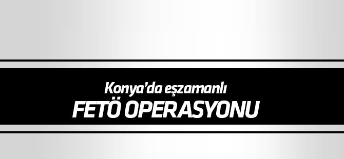 12 ilde FETÖ operasyonu; 14 gözaltı