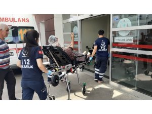 Yılanın soktuğu kadın hastanelik oldu