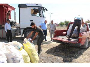 Karaman’da ıskarta elma alım fiyatları yüz güldürüyor