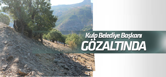 HDP'li Kulp Belediye Başkanı gözaltında