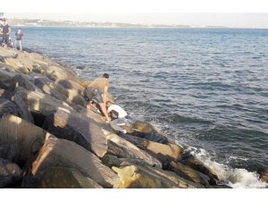 Avcılar’da denize düşen genç kayalıklara sıkıştı