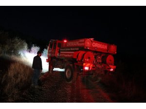 Bolu’da, örtü yangınında 5 hektarlık alan zarar gördü