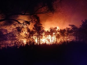 Ortaca’daki yangına şiddetli rüzgar nedeniyle güçlükle müdahale ediliyor