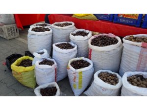 Sinop’un meşhur Erfelek kestanesi tezgahlarda