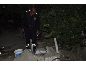 Kuyuya düşen yavru kediyi itfaiye kurtardı