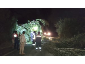 Ağaç dalları devrildi, otomobiller hasar gördü