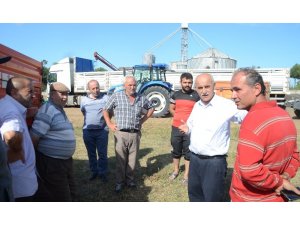 Ayçiçeği üreticileri fiyatlardan memnun değil