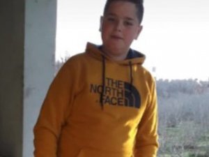 İneklerin neden telef olduğunu araştırırken, elektrik akımına kapıldı