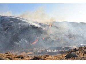 İzmir’de 2 ilçede orman yangını