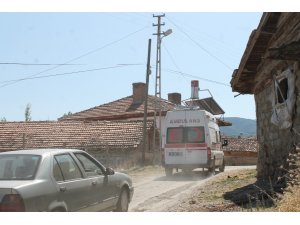 Tosya’da cevizden düşen kişi yaralandı